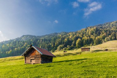 yaz duygu Alpler'in Bavyera eteklerinde
