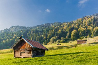 yaz duygu Alpler'in Bavyera eteklerinde