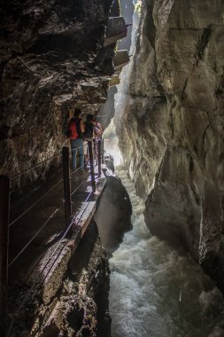 yaz duygu Alpler'in Bavyera eteklerinde