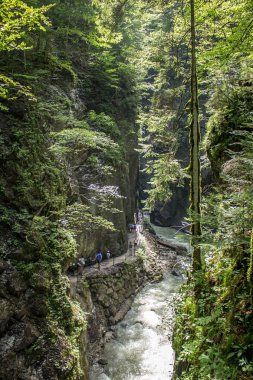 yaz duygu Alpler'in Bavyera eteklerinde