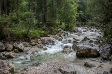 yaz duygu Alpler'in Bavyera eteklerinde