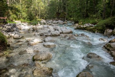 yaz duygu Alpler'in Bavyera eteklerinde