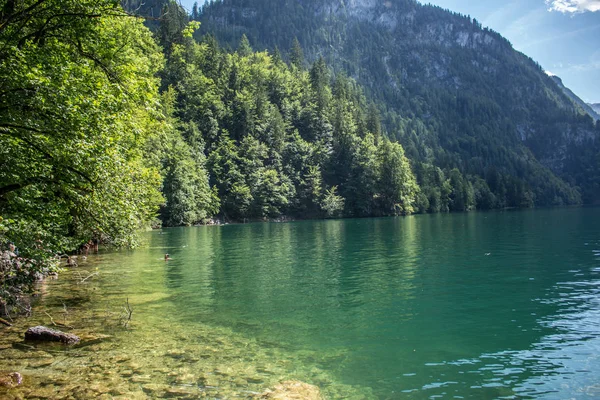 Sensación Verano Las Estribaciones Bávaras Los Alpes —  Fotos de Stock