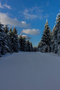 keşif Tur güzel thuringian ormanı