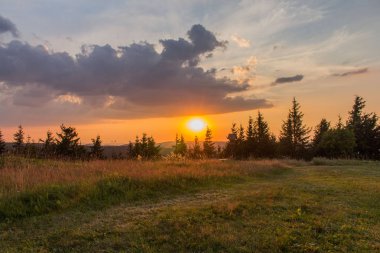 keşif Tur güzel thuringian ormanı