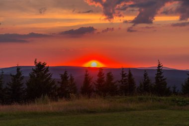 keşif Tur güzel thuringian ormanı
