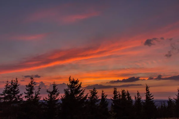 Erkundungstour Durch Den Schönen Thüringer Wald — Stockfoto