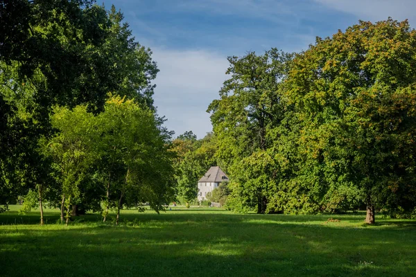 Journée Été Weimar — Photo