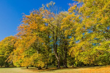 bir yaz sonbahar gününde altensteiner Kalesi
