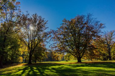 bir yaz sonbahar gününde altensteiner Kalesi
