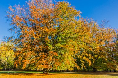 bir yaz sonbahar gününde altensteiner Kalesi