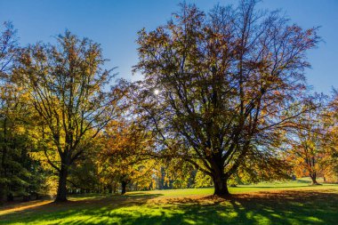 bir yaz sonbahar gününde altensteiner Kalesi