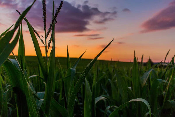 Abendstimmung Saaletal Der Hohenwarte — Stockfoto