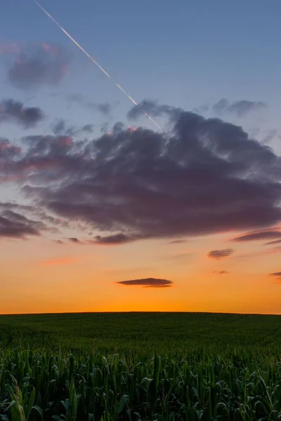 Ambiance Soir Dans Vallée Saale Barrage Hohenwarte — Photo