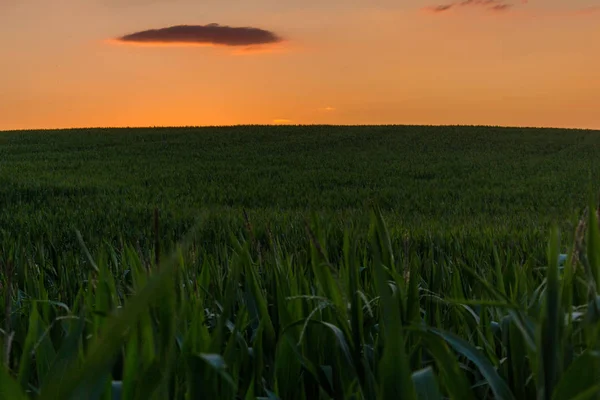 Ambiance Soir Dans Vallée Saale Barrage Hohenwarte — Photo