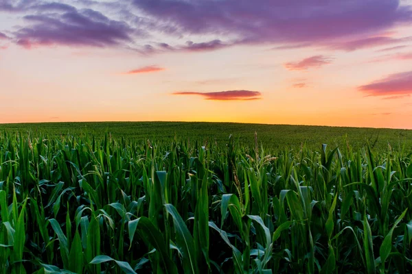 Abendstimmung Saaletal Der Hohenwarte — Stockfoto