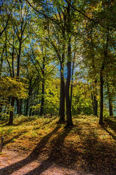 Una Giornata Autunno Estiva Nel Castello Altensteiner — Foto Stock