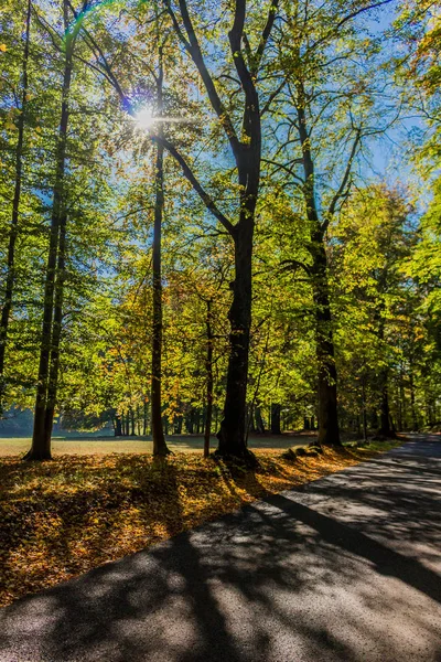 Bir Yaz Sonbahar Gününde Altensteiner Kalesi — Stok fotoğraf