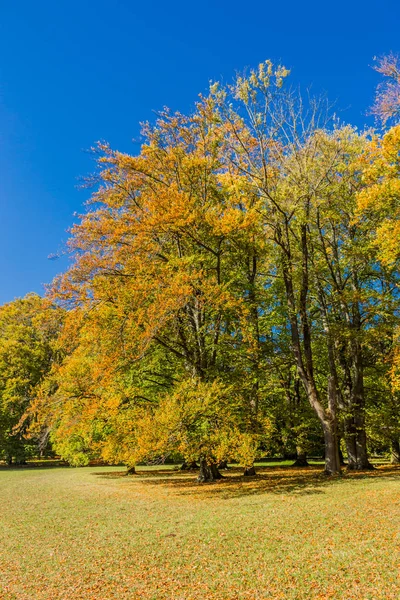 Jour Automne Été Sur Château Altensteiner — Photo