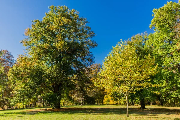 Una Giornata Autunno Estiva Nel Castello Altensteiner — Foto Stock