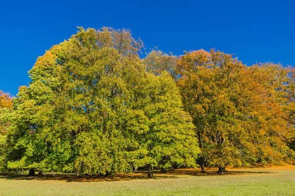 Una Giornata Autunno Estiva Nel Castello Altensteiner — Foto Stock