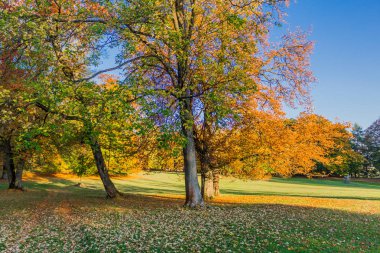 bir yaz sonbahar gününde altensteiner Kalesi