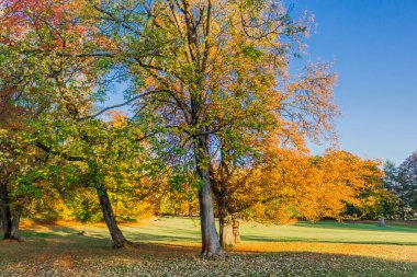 bir yaz sonbahar gününde altensteiner Kalesi