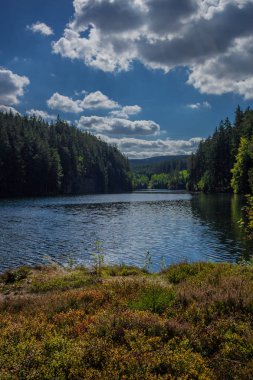 yolda Thuringian Ormanı