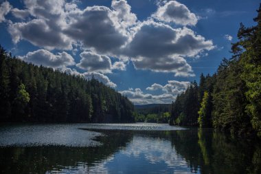 yolda Thuringian Ormanı