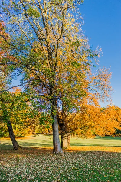 Летний Осенний День Замке Альтенштайнер — стоковое фото
