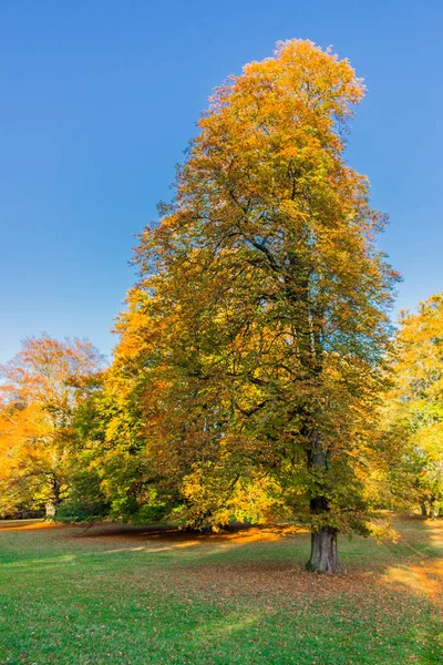 Jour Automne Été Sur Château Altensteiner — Photo