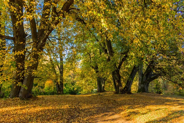 Летний Осенний День Замке Альтенштайнер — стоковое фото