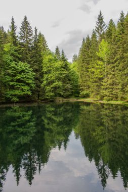 yolda Thuringian Ormanı