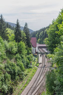 yolda Thuringian Ormanı