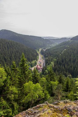 yolda Thuringian Ormanı