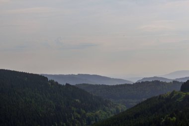 yolda Thuringian Ormanı