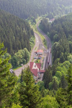 yolda Thuringian Ormanı