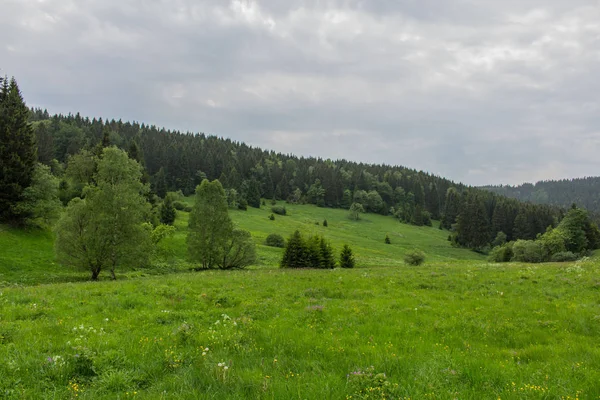 Unterwegs Durch Den Thüringer Wald — Stockfoto