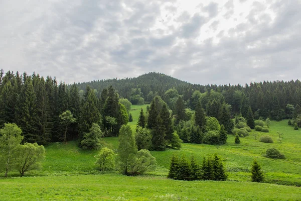 Keresztül Türingiai Erdő — Stock Fotó