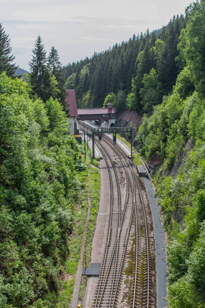 Caminho Através Floresta Turíngia — Fotografia de Stock