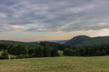 yolda Thuringian Ormanı