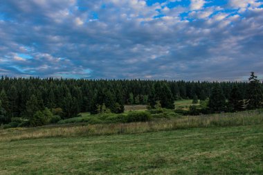 yolda Thuringian Ormanı
