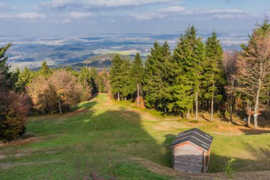 yolda Thuringian Ormanı