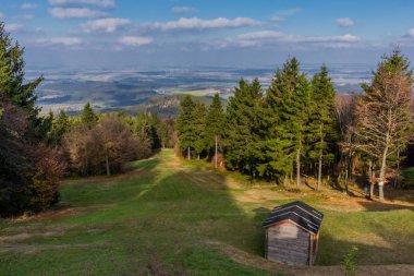 yolda Thuringian Ormanı