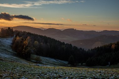 yolda Thuringian Ormanı