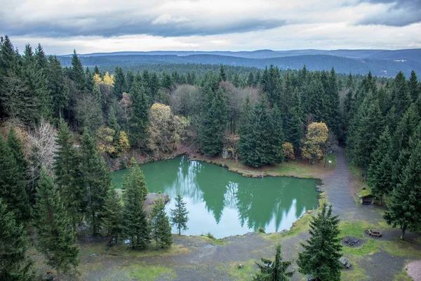 yolda Thuringian Ormanı