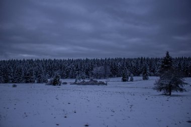 yolda Thuringian Ormanı