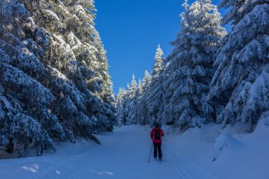kış güneş ışığı ile Thuringian Forest büyüye