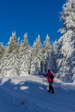 kış güneş ışığı ile Thuringian Forest büyüye