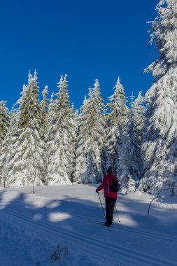 kış güneş ışığı ile Thuringian Forest büyüye